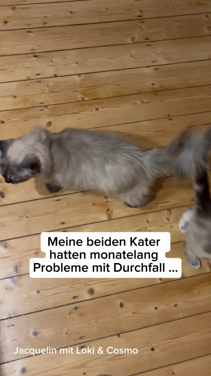 Qualität, die man sieht